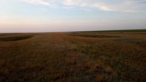 Исчезнувший хутор Чилижный, Озинский район.