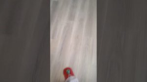 омг обзорчик на одежду зефирки ❃✿❀☆