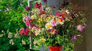 Сатсанг: Три принципа самореализации. Роберт Адамс.