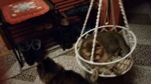 ХОББИ - ВЛОГ. РАССКРАСКА -АНТИСТРЕСС.ПОДАРОК ДУСЬКЕ И СТЕПАНУ .(04.02.2026г.).