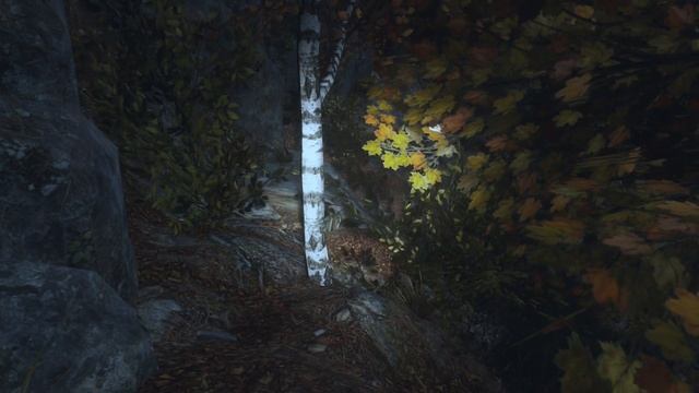 Прохождение: METRO Exodus. Часть 10