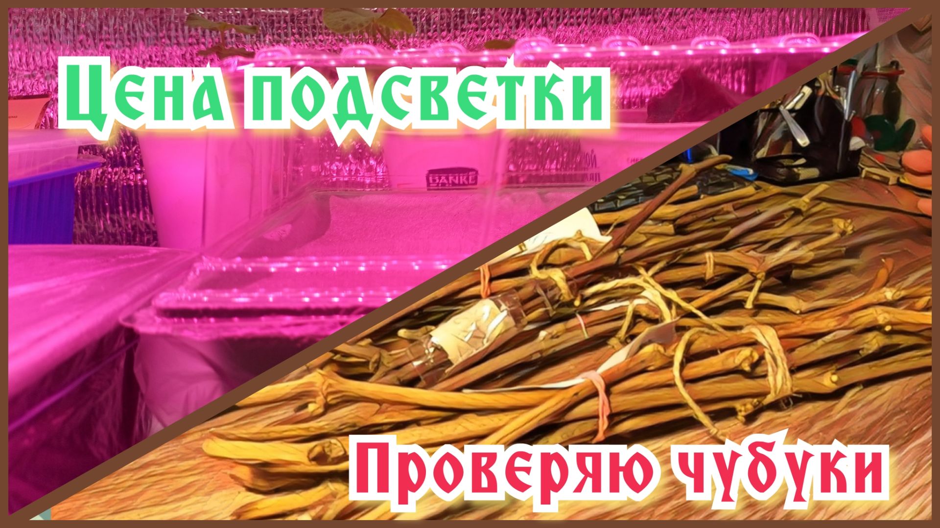 Сколько денег тратиться на подсветку рассады Мой способ хранения черенков винограда смотреть онлайн