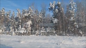 Краски зимою.