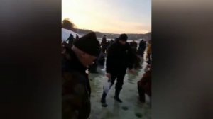 Рыба везде.