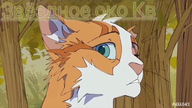 коты воители история / яролики смотреть онлайн