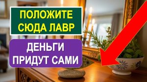 Куда положить лавровый лист, чтобы деньги перестали утекать? Рабочие приметы для дома и кошелька