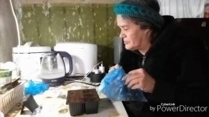 Перец проклюнулся, сажаю.