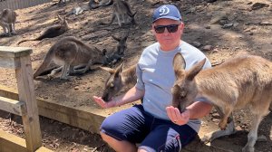 🦘Тасмания, Австралия - продолжение путешествия. Кормит кенгуру.  (см. далее -  Голд Кост)