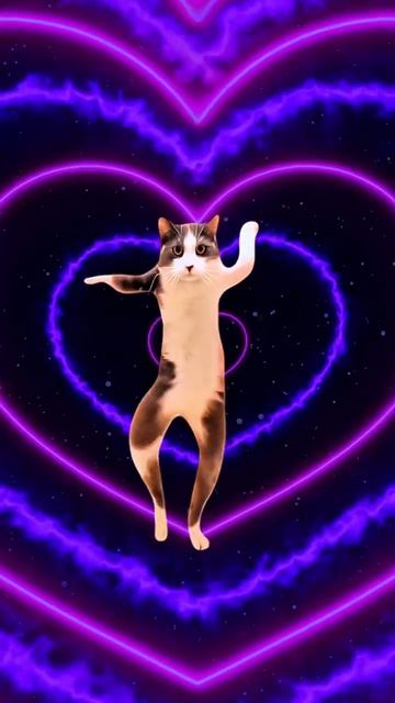 100% понимания смотреть онлайн