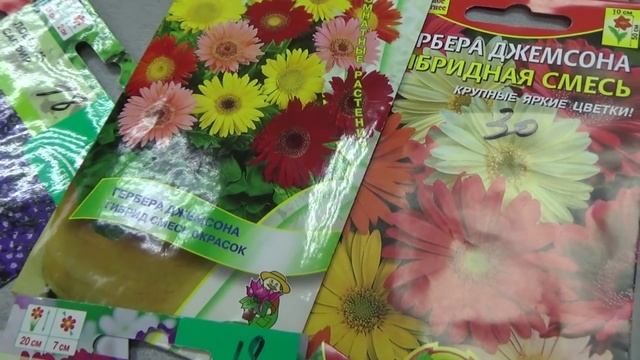 2192. Обзор однолетников февральского посева.