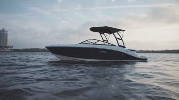 Sea Ray SPX 190. Привезём для Вас!