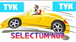 Selectum Noa Resort Cam Ranh. Селектум Ноа резорт Камрань. ПОЕЗДКА НА ТУК ТУКЕ