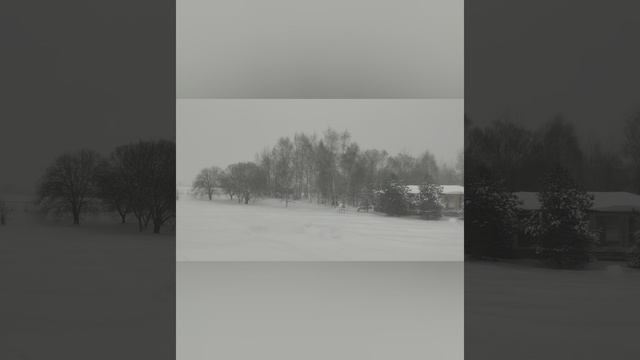 Мария Батова "Давидова звезда"