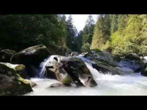 Дерек Принс - Дни Ноя и Лота