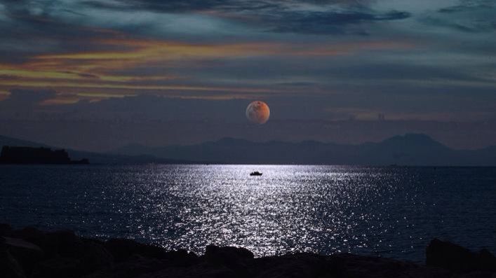 Orbital Stillness смотреть онлайн