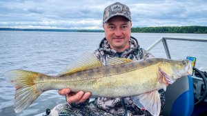 Ловля судака и окуня на реке Кама!