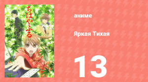 Яркая Тихая 1 сезон 13 серия (аниме-сериал, 2011)