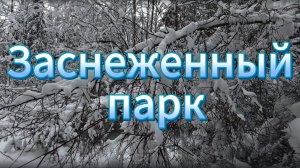 «Зимний парк: красота заснеженных деревьев»
