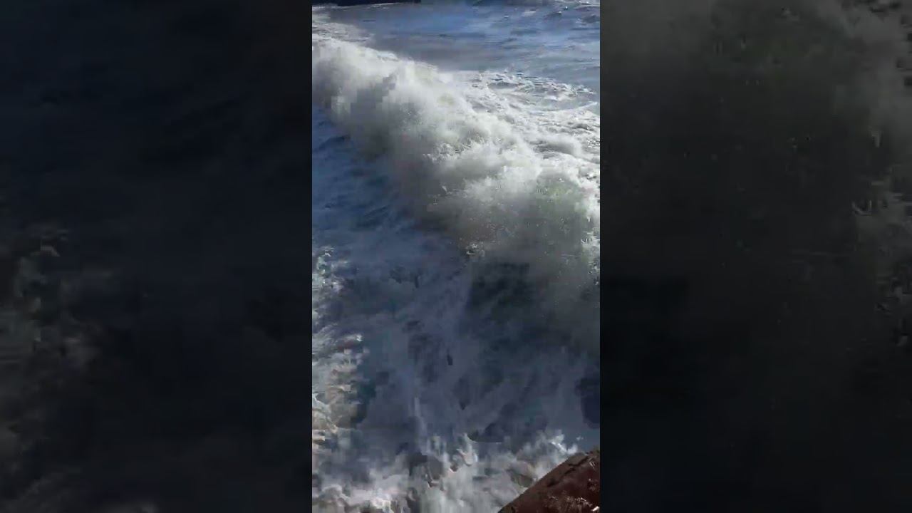 Море, море… Сочи #сочи #адлер #море Море, море… Сочи #сочи #адлер #море