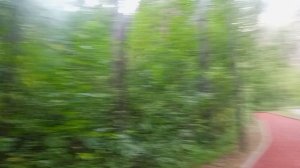 Рубрика "покажи архив"