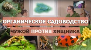 Насекомые в саду: хороший, плохой, злой.
