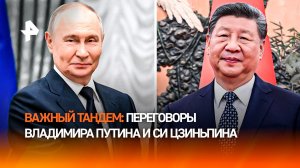Безвизовый режим, конфликт на Украине и торговые отношения: переговоры Путина и Си Цзиньпина