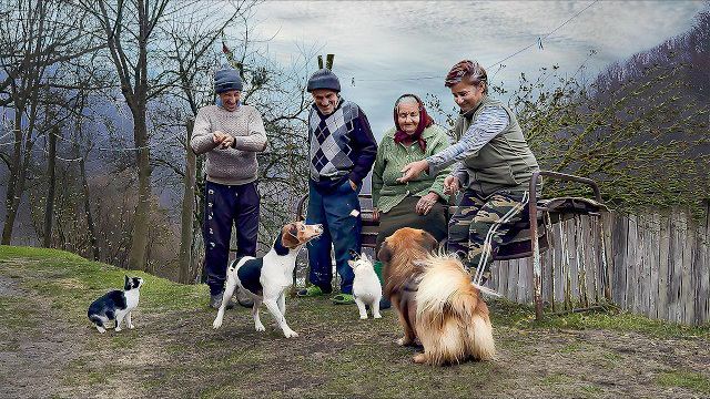 Тяжелая жизнь пожилой пары в горной деревне на границе с Румынией