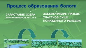 Информационное болото. Надоело.