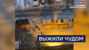 ВЕСТИ 24 Санкт-Петербург от 04.02.2026
