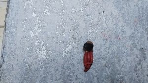 5 часть Артём аналоговый хоррор