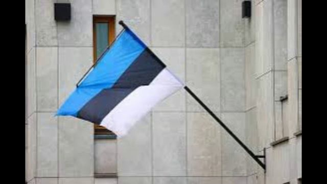Эстонию предупредили о риске повторить украинский сценарий смотреть онлайн