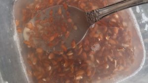 Про лён. И что меня подтолкнуло этим заняться!