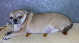 Всем наидобрейшего вечера и самой доброй ночи.