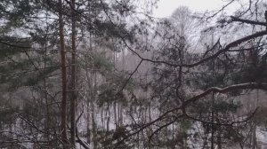 Жить по течению