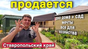 Два дома на одном участке : уют и простор в каждом метре !