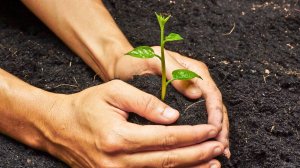 И КАК БЫ ТРУДНО НИ БЫВАЛО, ТЫ ВЕРЕН БЫЛ СВОЕЙ МЕЧТЕ