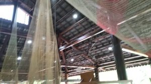 Как плетут рыболовные сети во Вьетнаме