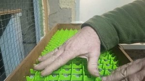 Решётка для перепелиных яиц в инкубатор "Матрица".