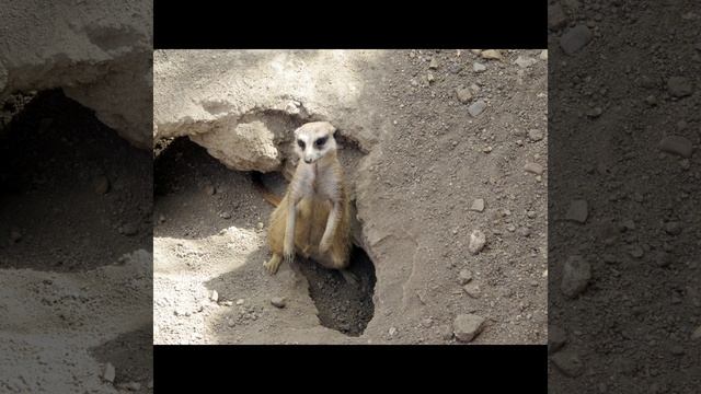 как моё первое видео