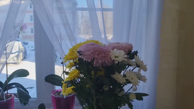 Муж принёс цветы, шоколадку и упаковку спанбонда, чтобы это значило? Извинения принимаются! смотреть онлайн