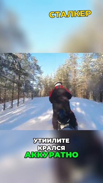 ЭТОТ Снегоход Поможет Тебе Пройти ВЕЗДЕ смотреть онлайн