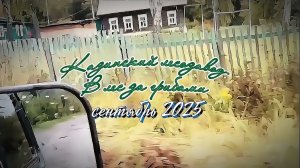 Казинский лесозавод. #За_грибами_в_лес