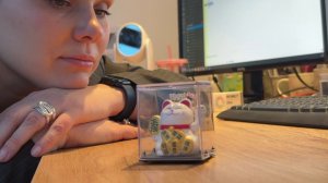 Че с судами