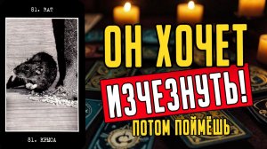 Что он действительно чувствует к вам Именно сейчас! Его мысли 🧡 таро расклад ♥️ онлайн гадание