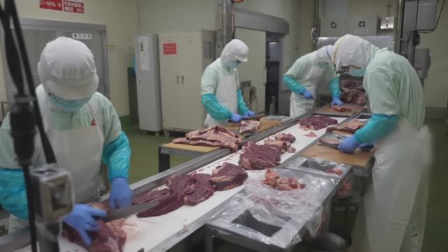 Процесс массового производства солонины. Посол мяса в поваренной соли. смотреть онлайн