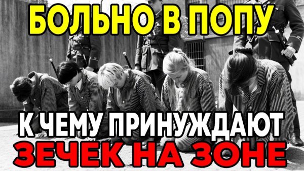 Что делают с красивыми ЗЕЧКАМИ на ЗОНЕ _ Запретная правда!