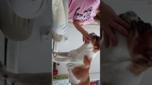 Мы с Рикой играем в новые куклы