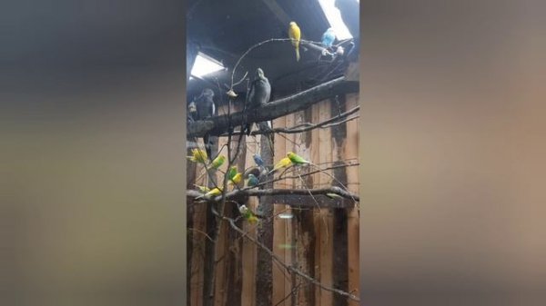 Санкт-Петербургский зоопарк