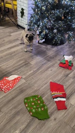 Сарафанный вопрос