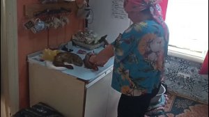 Наша деревенская жизнь 😊